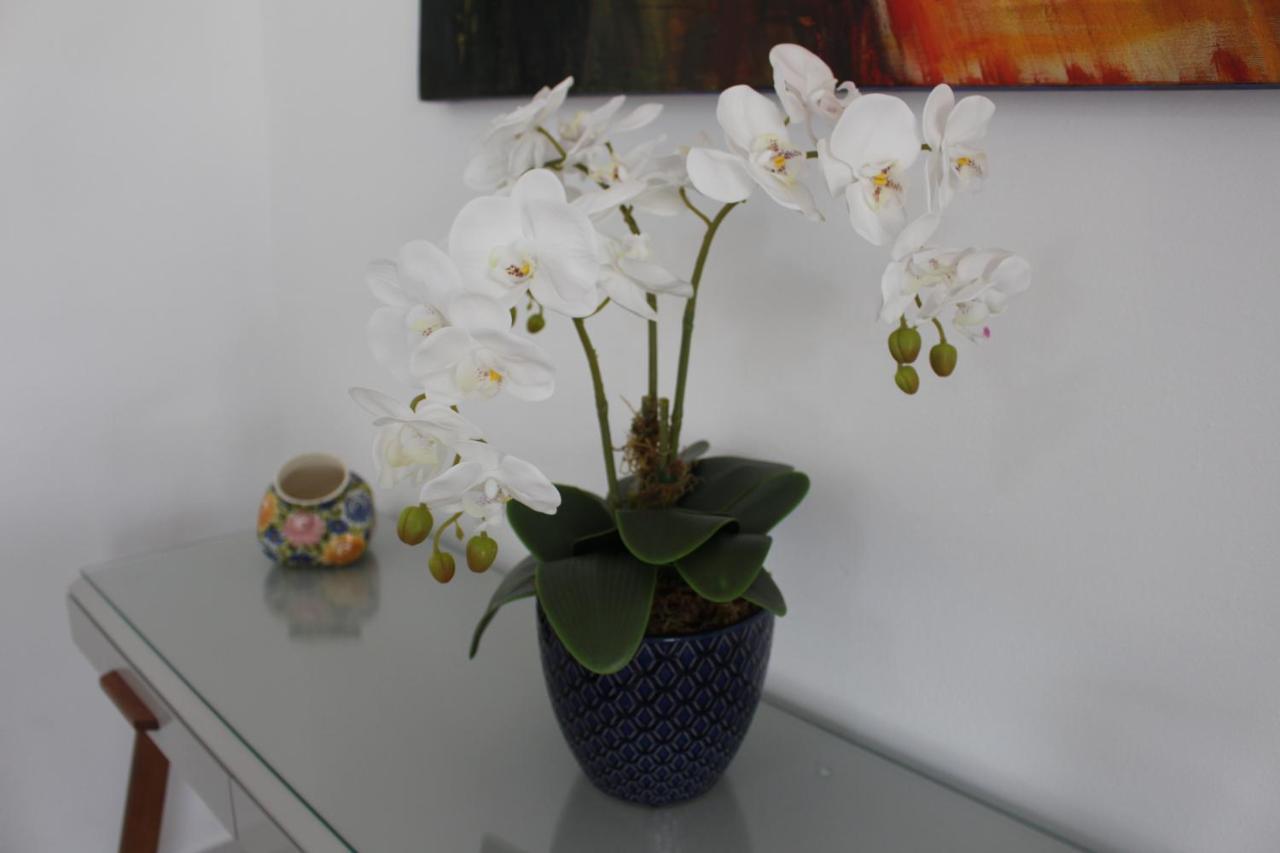 Apartamento Praia Forte Кабо Фрио Екстериор снимка